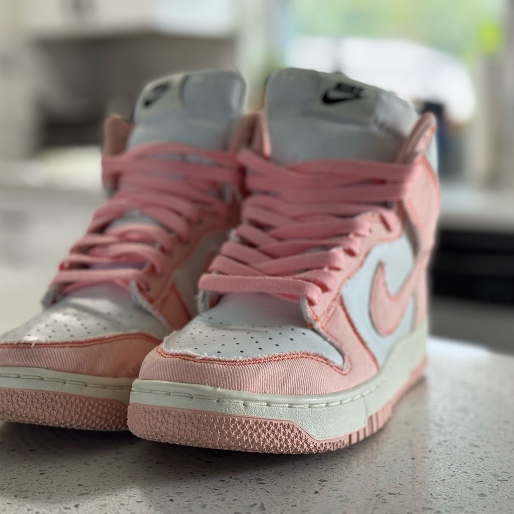 Nike Dunk 1985
